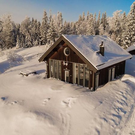 Ottsjoe-Are Lodge Kültér fotó