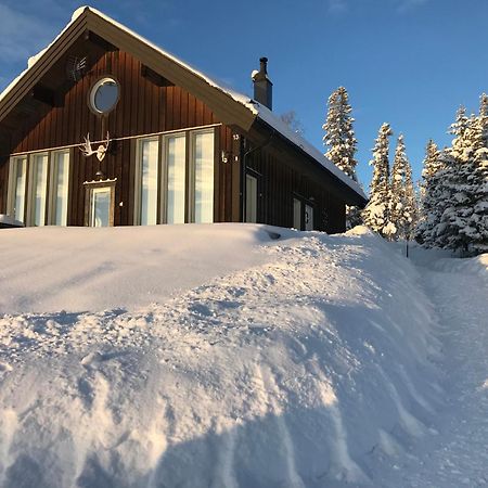 Ottsjoe-Are Lodge Kültér fotó
